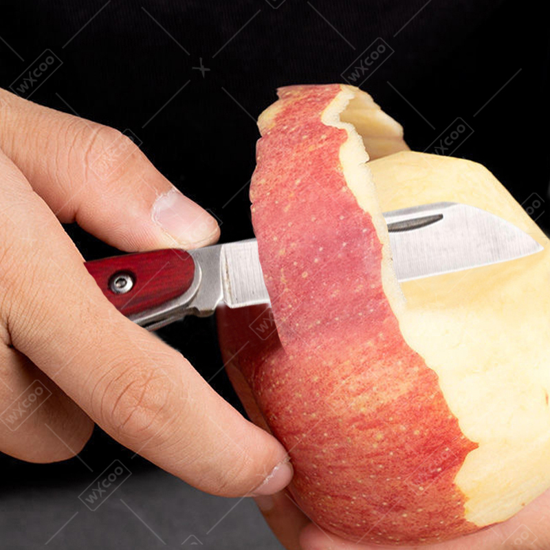 Edelstahl-Taschenmesser, Obstm – Kitchen Handy Gadgets Bewertung und Preis