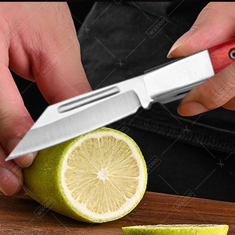 Edelstahl-Taschenmesser, Obstm – Kitchen Handy Gadgets Bewertung und Preis